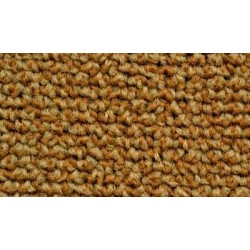 Moquette pour mercedes de couleur beige